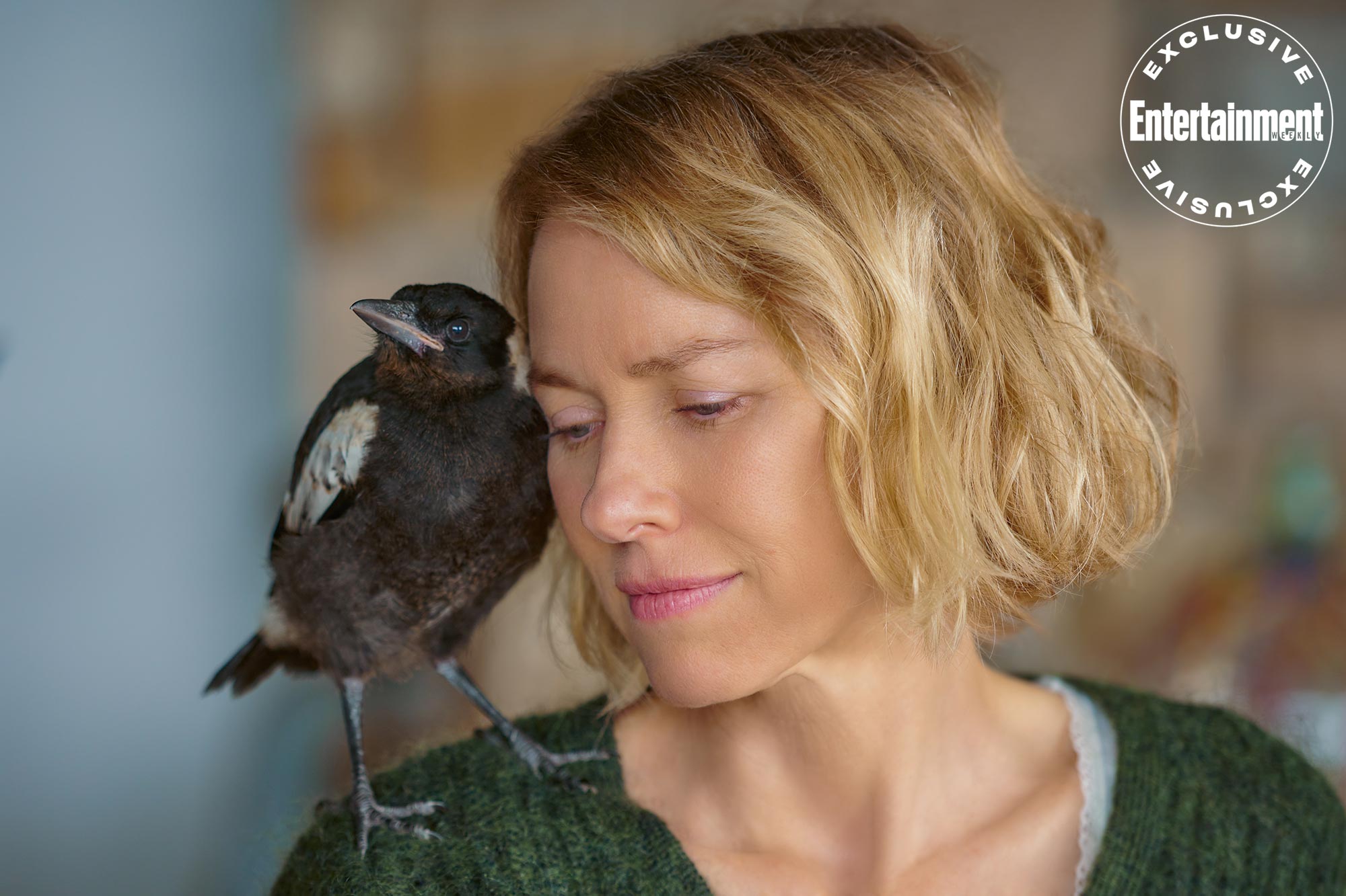 企鹅布鲁姆剧照的剧照