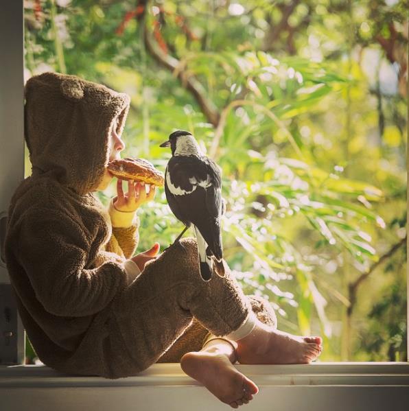 企鹅布鲁姆剧照的剧照