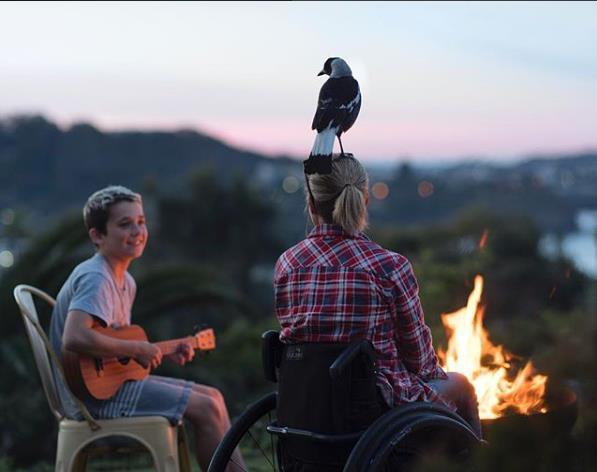 企鹅布鲁姆剧照的剧照