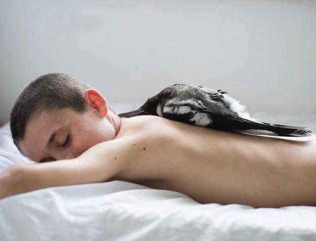 企鹅布鲁姆剧照的剧照