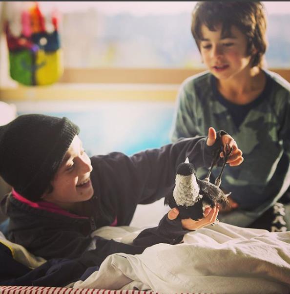 企鹅布鲁姆剧照的剧照