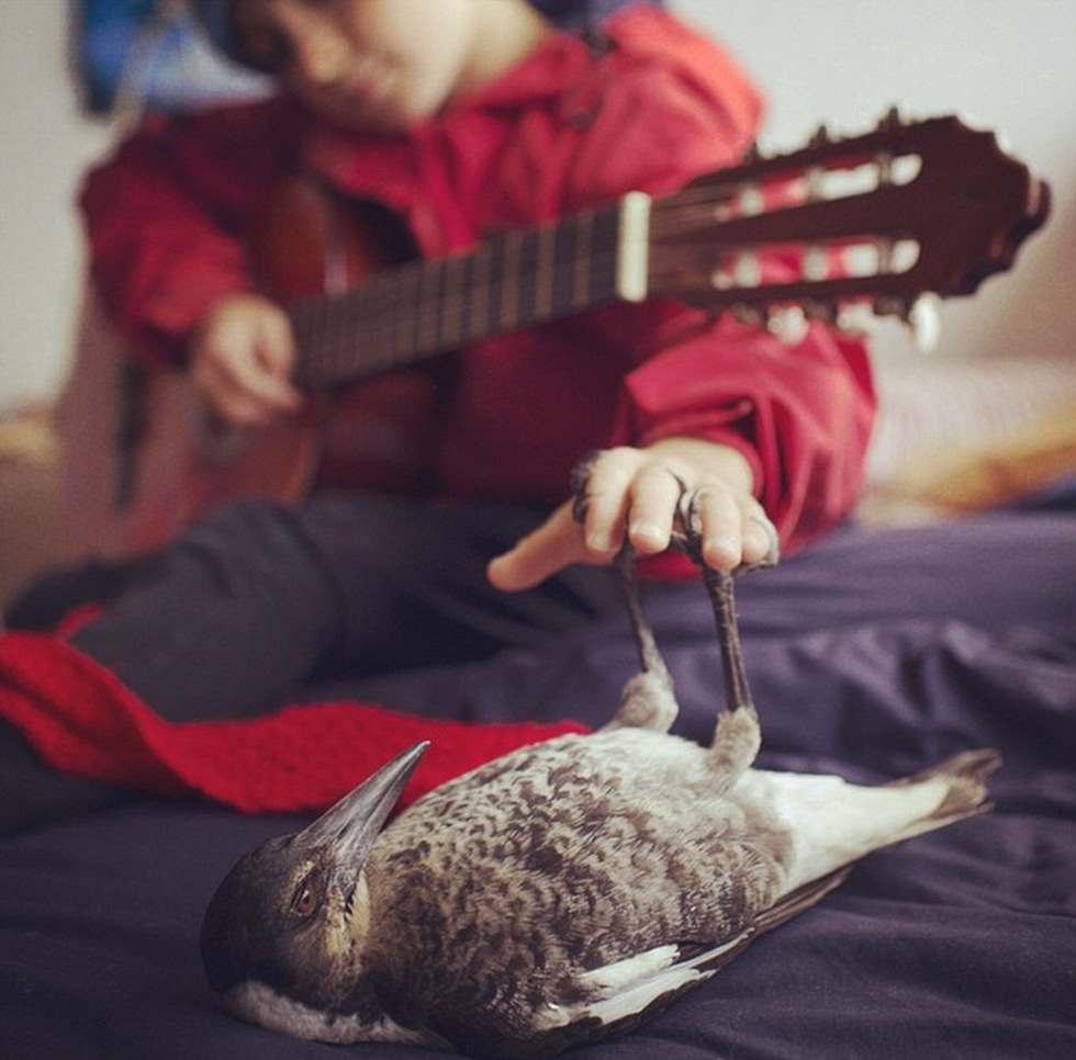 企鹅布鲁姆剧照的剧照