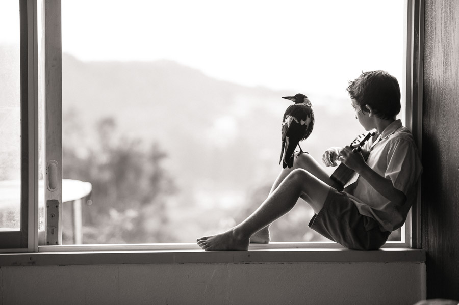 企鹅布鲁姆剧照的剧照