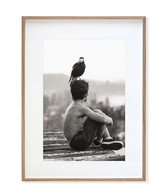 企鹅布鲁姆剧照的剧照