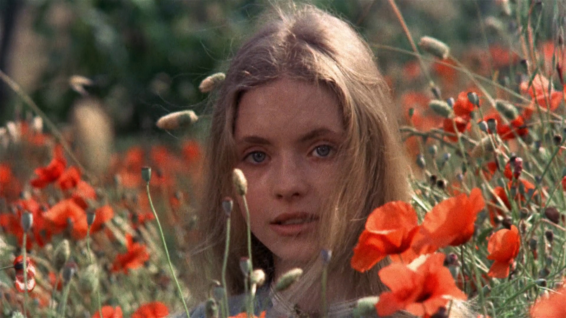 日为吾兄月为吾妹剧照的剧照