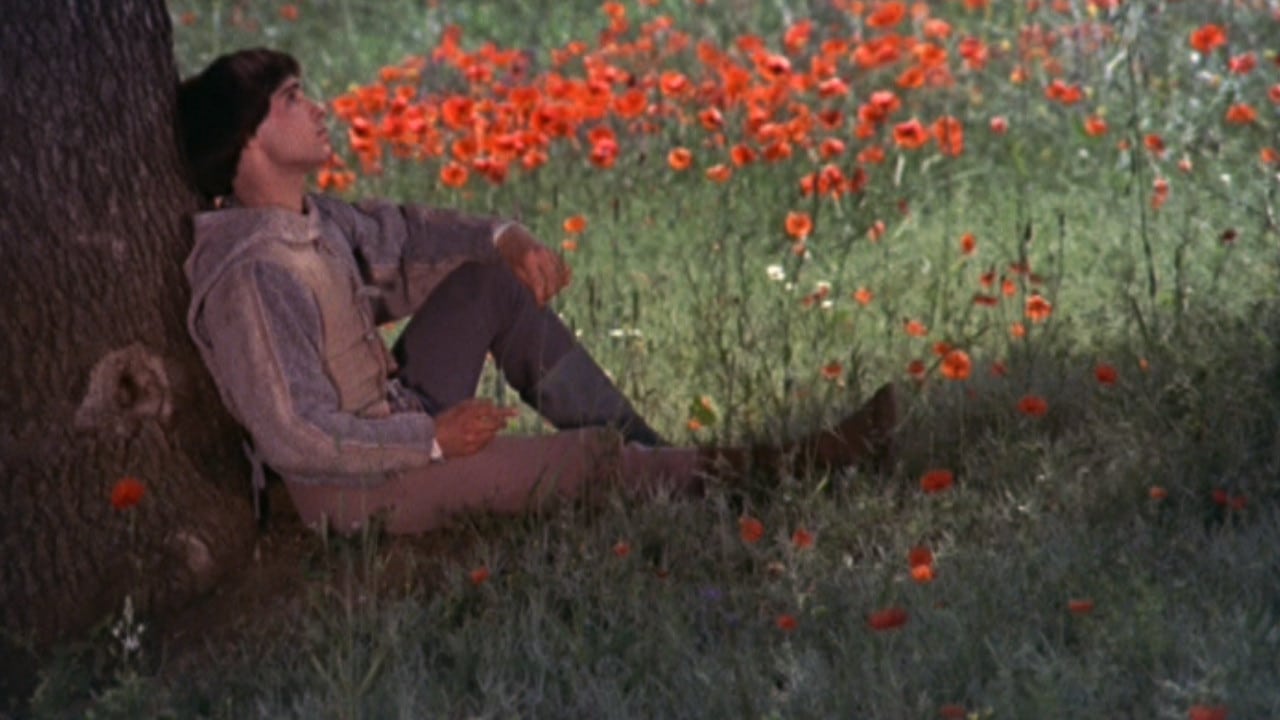 日为吾兄月为吾妹剧照的剧照