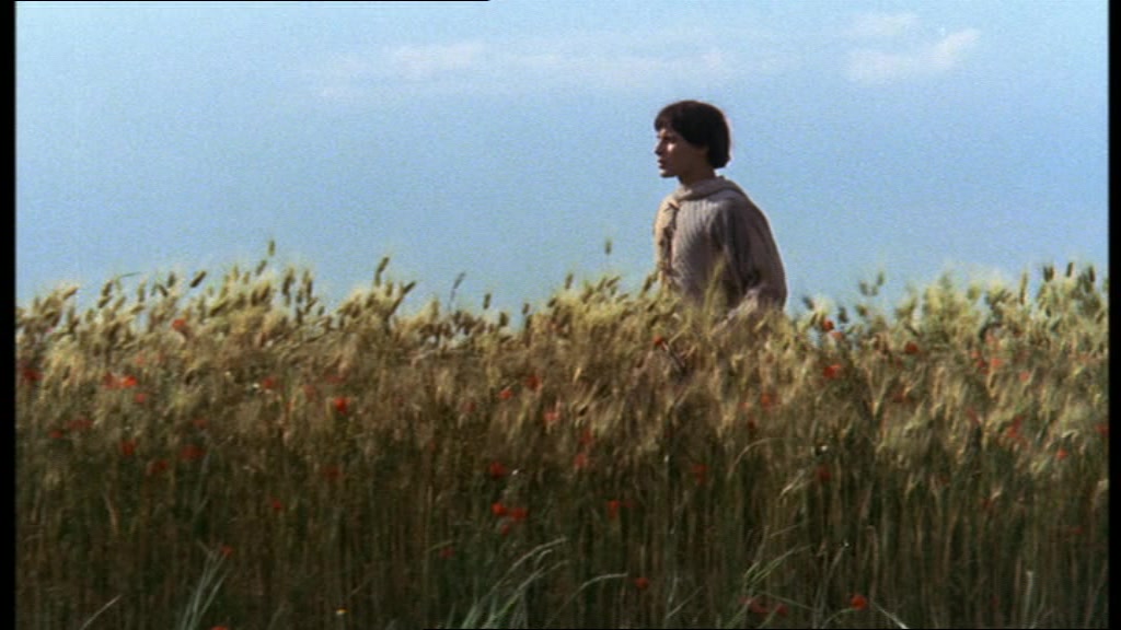 日为吾兄月为吾妹剧照的剧照