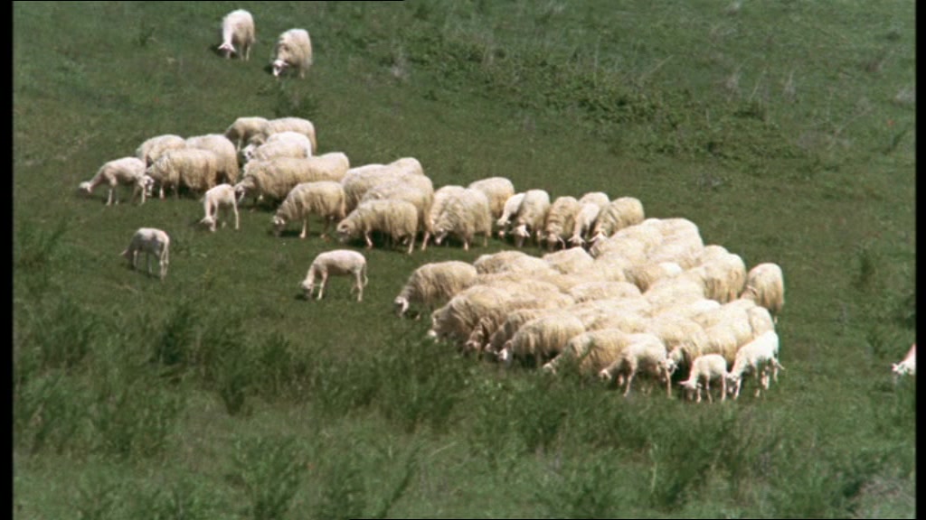 日为吾兄月为吾妹剧照的剧照