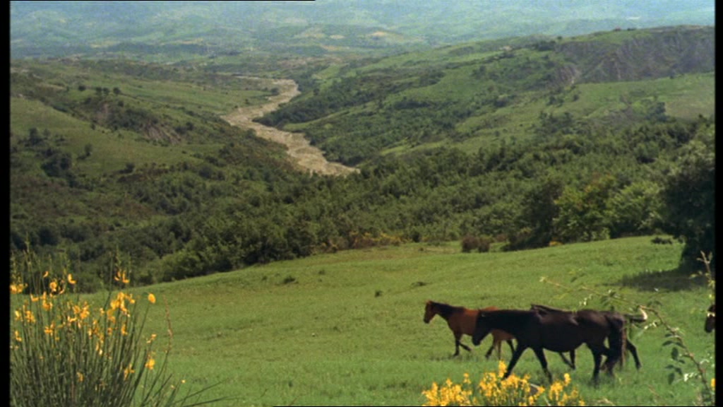 日为吾兄月为吾妹剧照的剧照