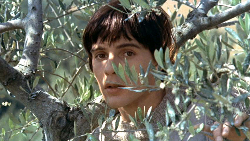 日为吾兄月为吾妹剧照的剧照