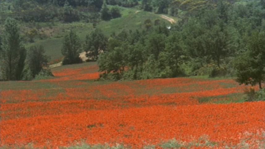 日为吾兄月为吾妹剧照的剧照