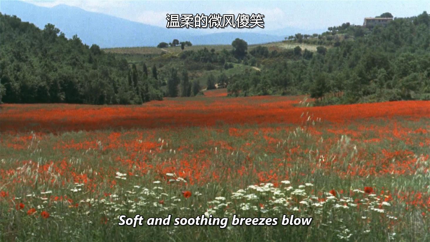 日为吾兄月为吾妹剧照的剧照