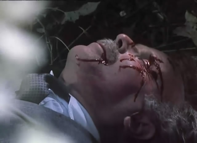 三角墙山庄剧照的剧照