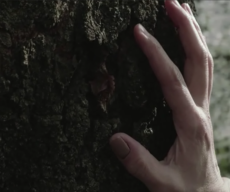 记忆的静物剧照的剧照