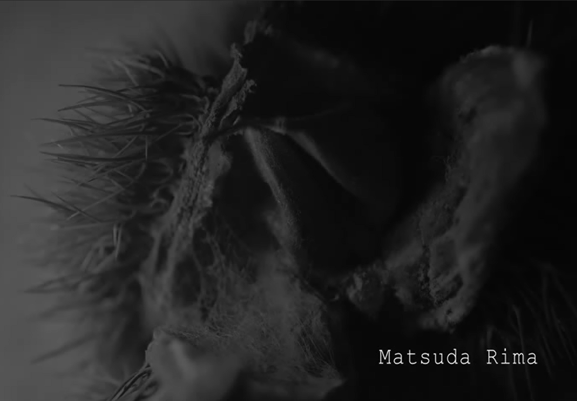 记忆的静物剧照的剧照