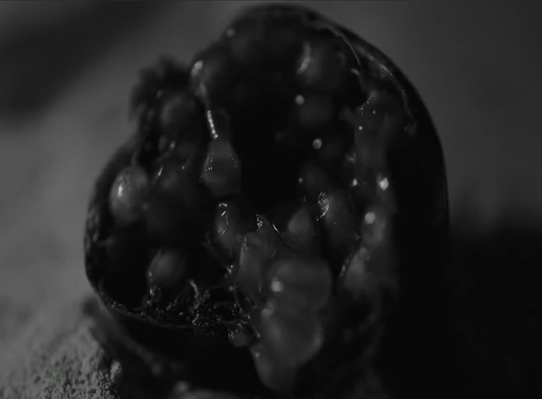 记忆的静物剧照的剧照