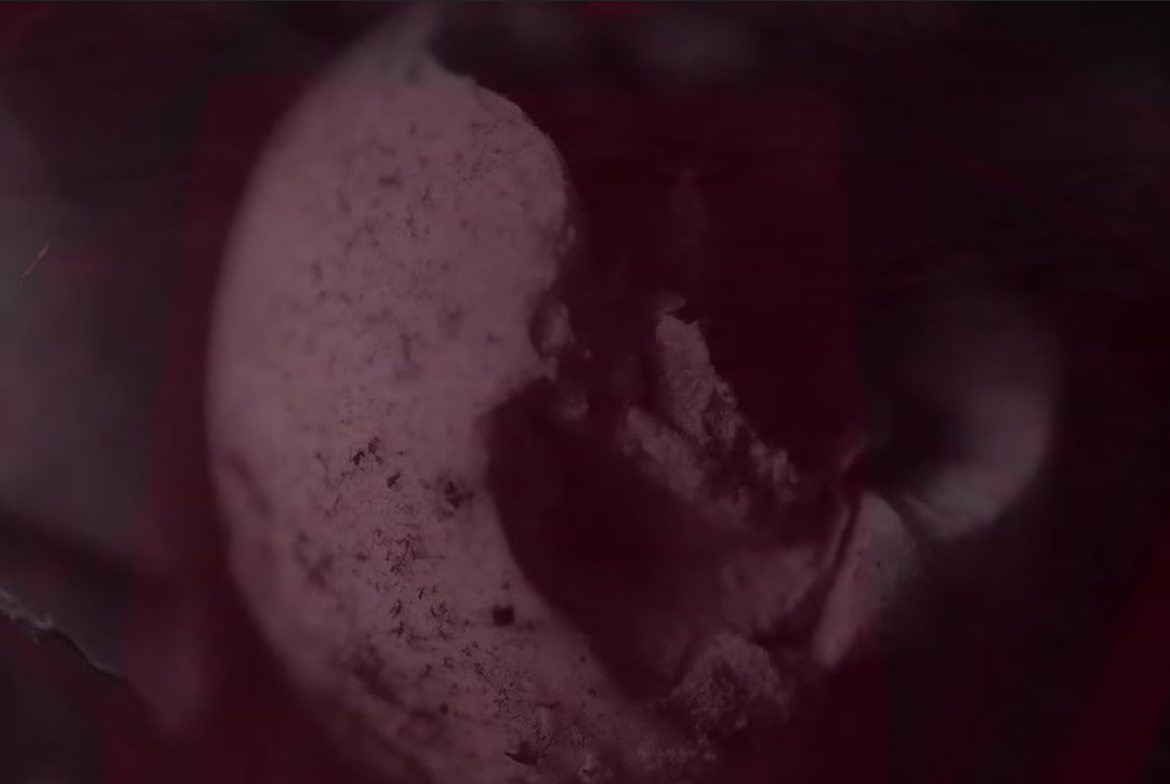 记忆的静物剧照的剧照