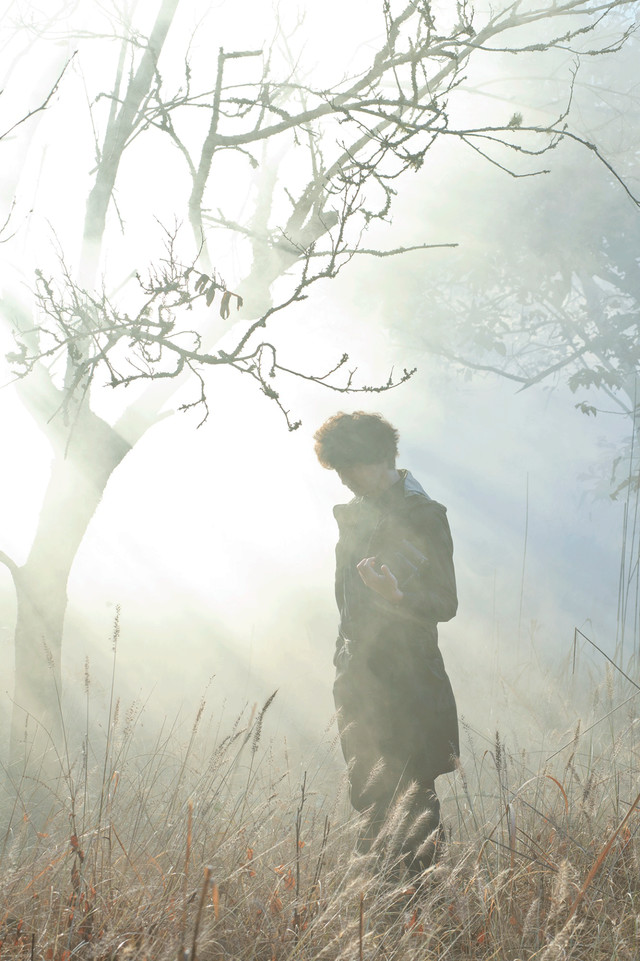 记忆的静物剧照的剧照