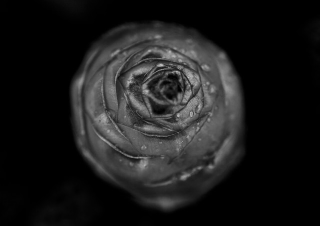 记忆的静物剧照的剧照