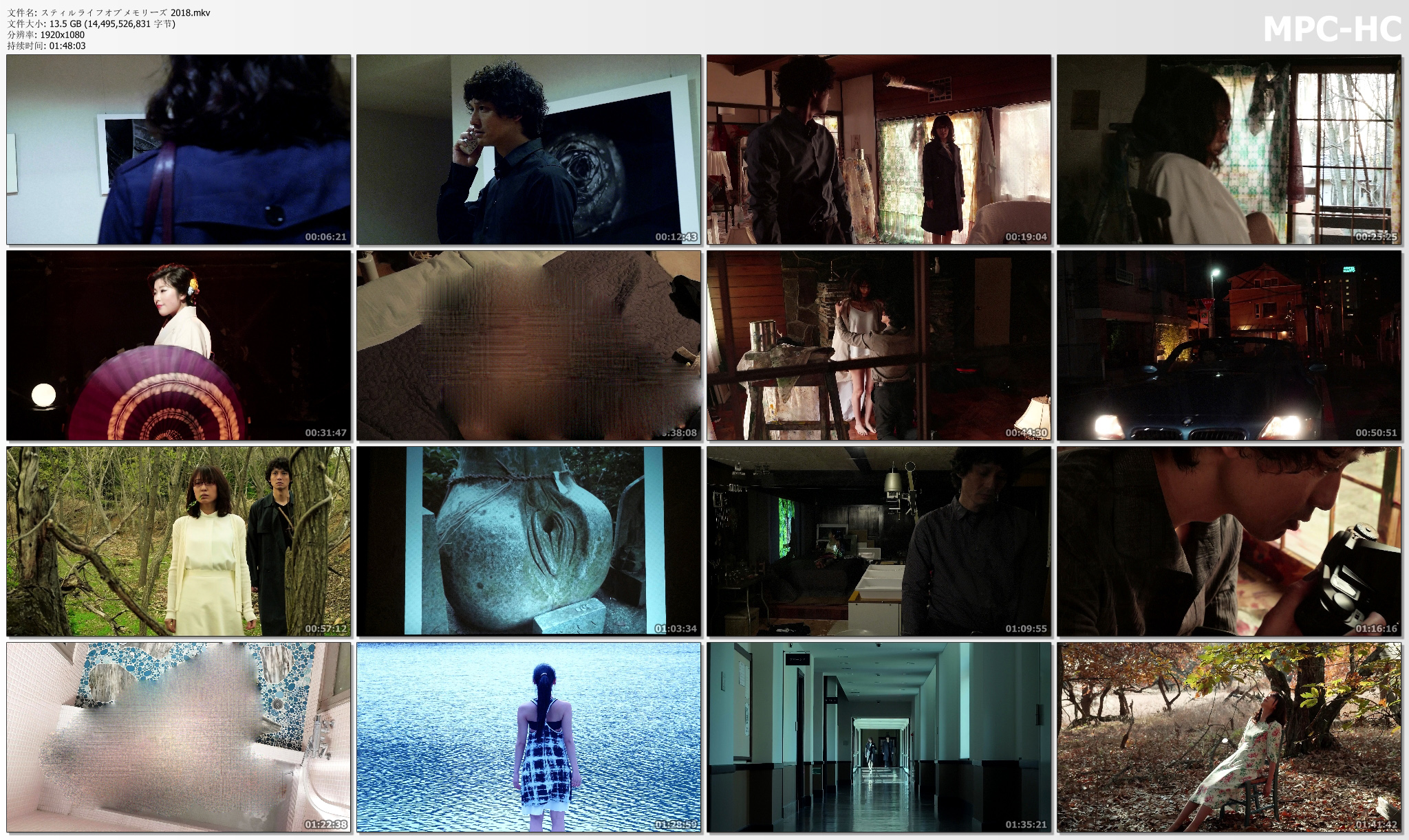 记忆的静物剧照的剧照