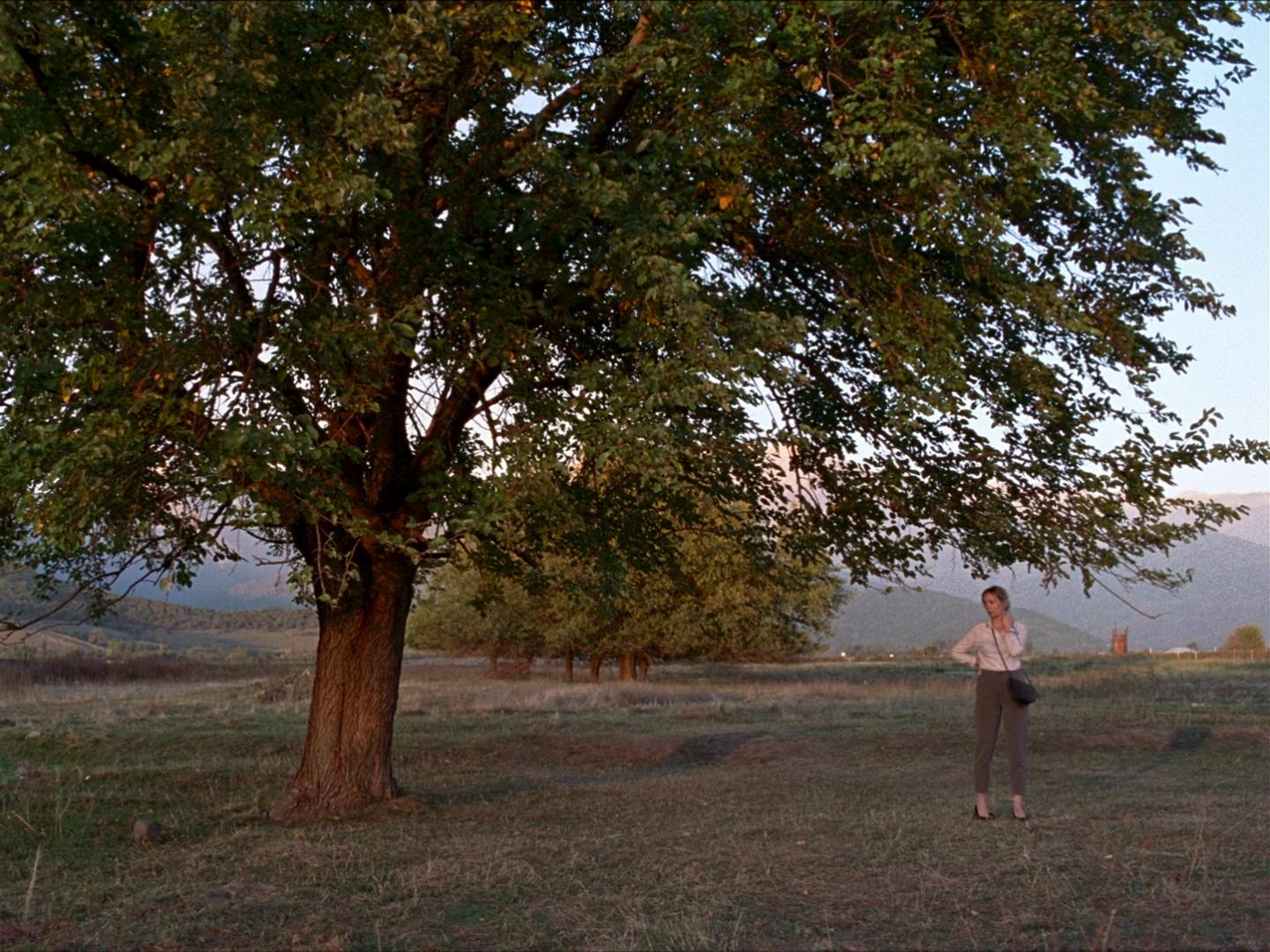 开始剧照的剧照