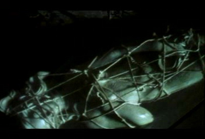 爱的捆绑剧照的剧照