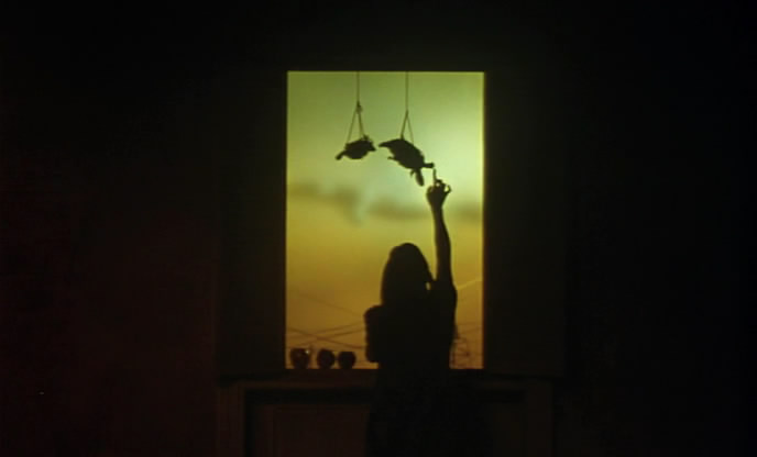 爱的捆绑剧照的剧照