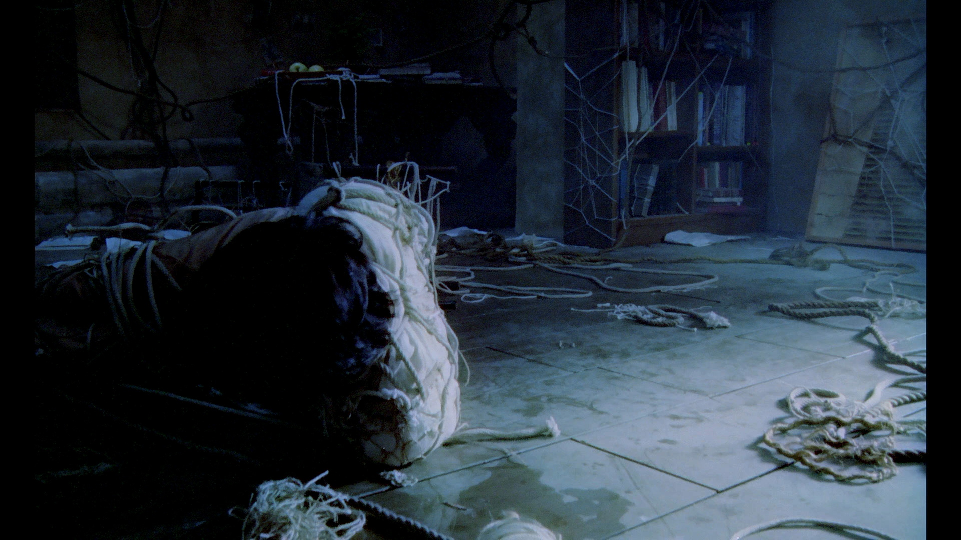 爱的捆绑剧照的剧照