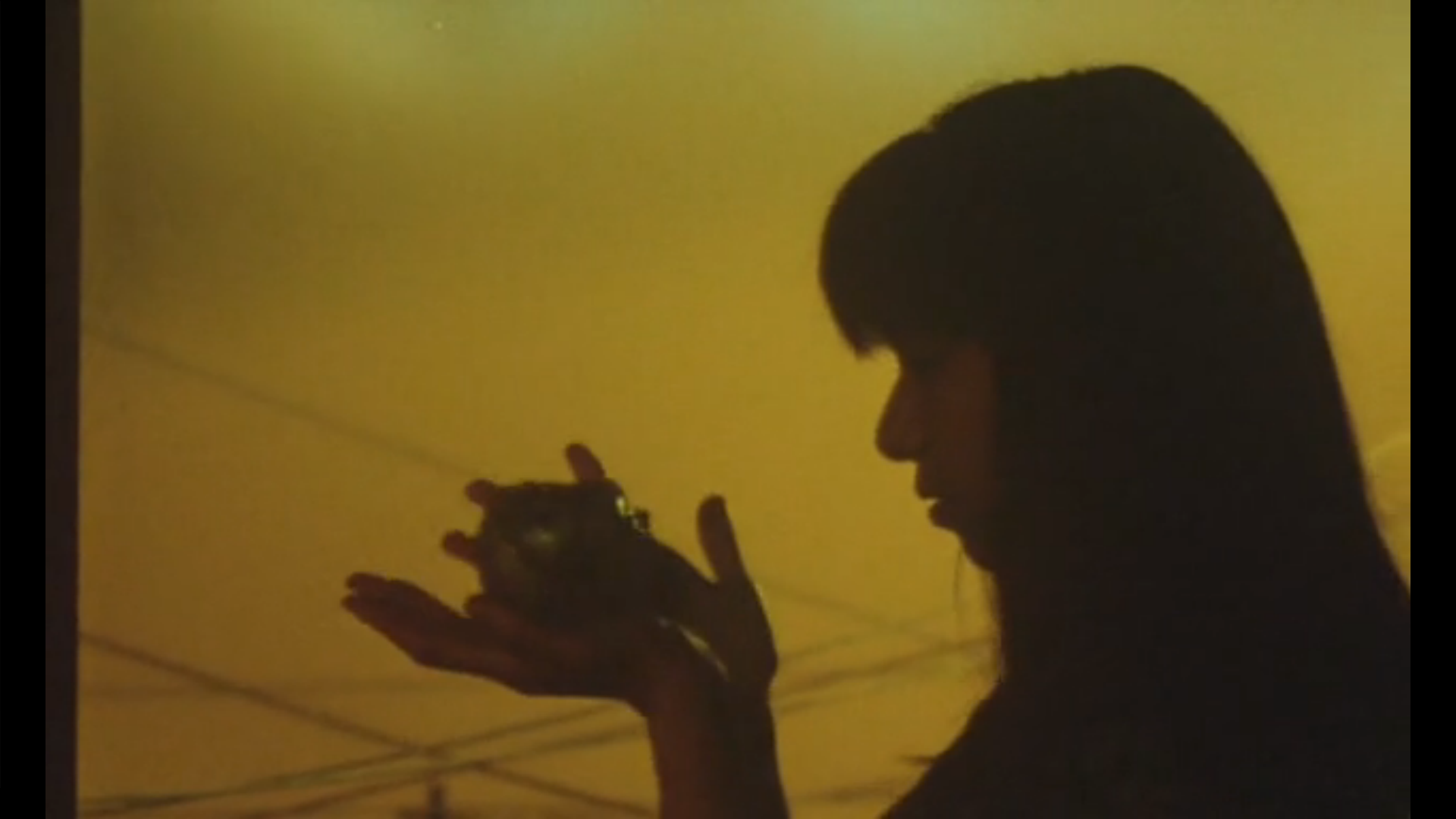 爱的捆绑剧照的剧照