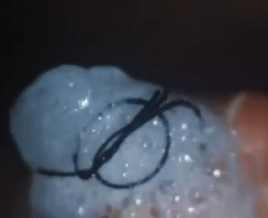 爱的捆绑剧照的剧照