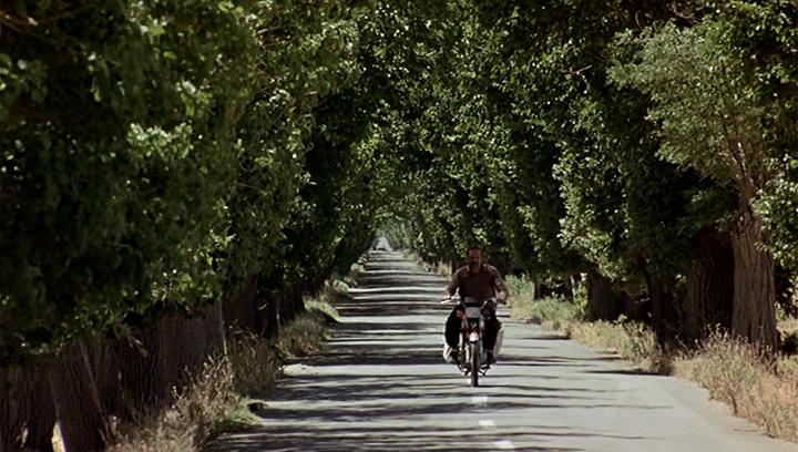 麻雀之歌剧照的剧照