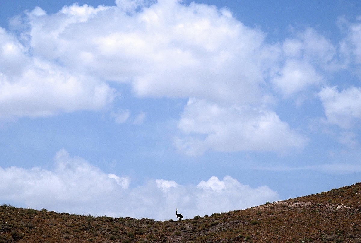 麻雀之歌剧照的剧照