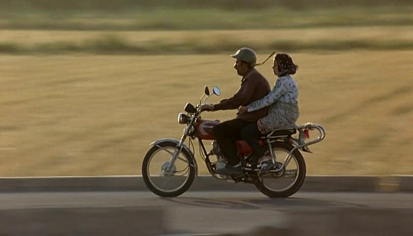 麻雀之歌剧照的剧照