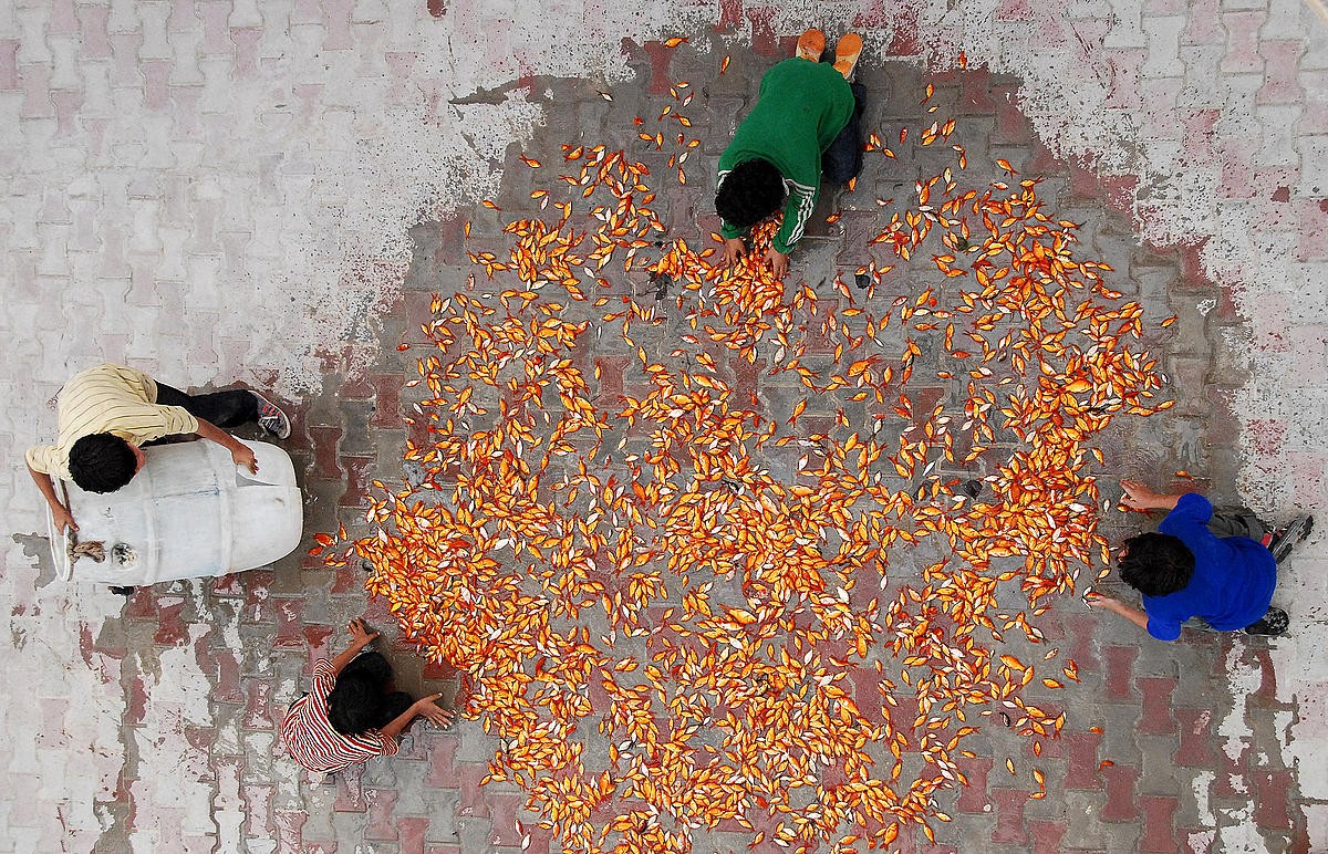 麻雀之歌剧照的剧照