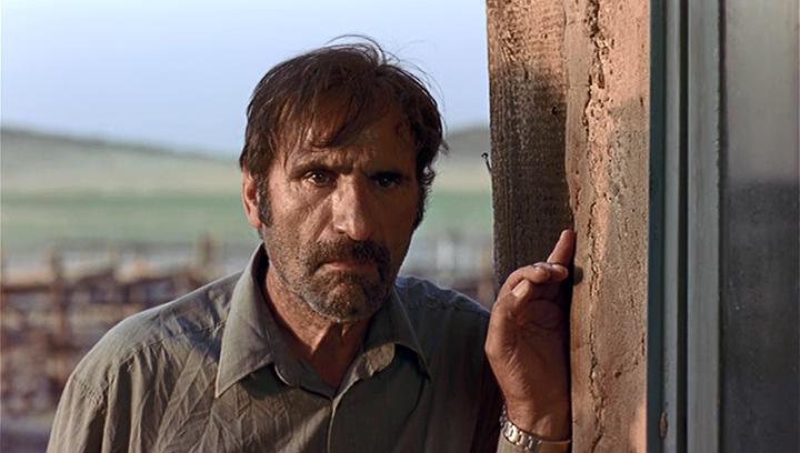 麻雀之歌剧照的剧照