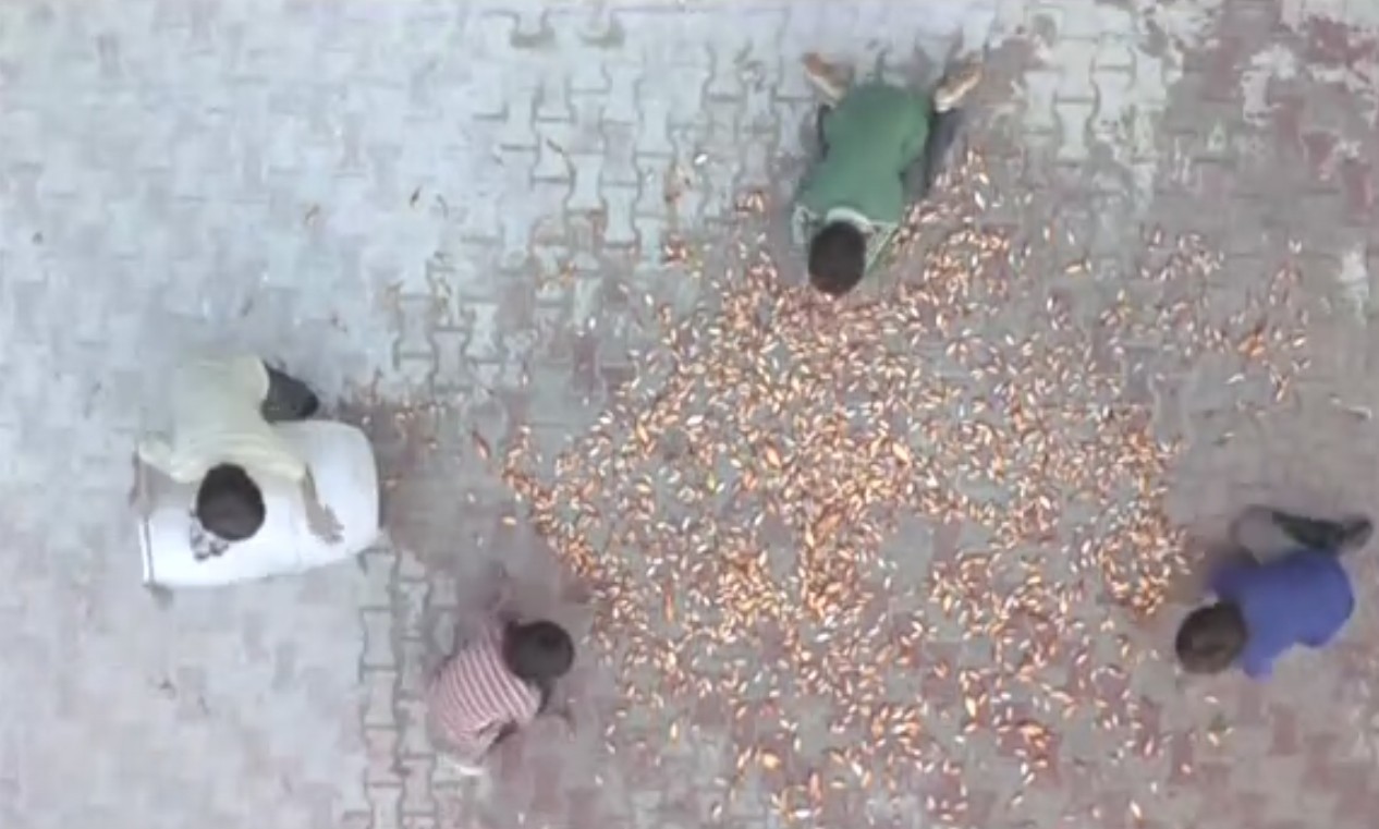 麻雀之歌剧照的剧照