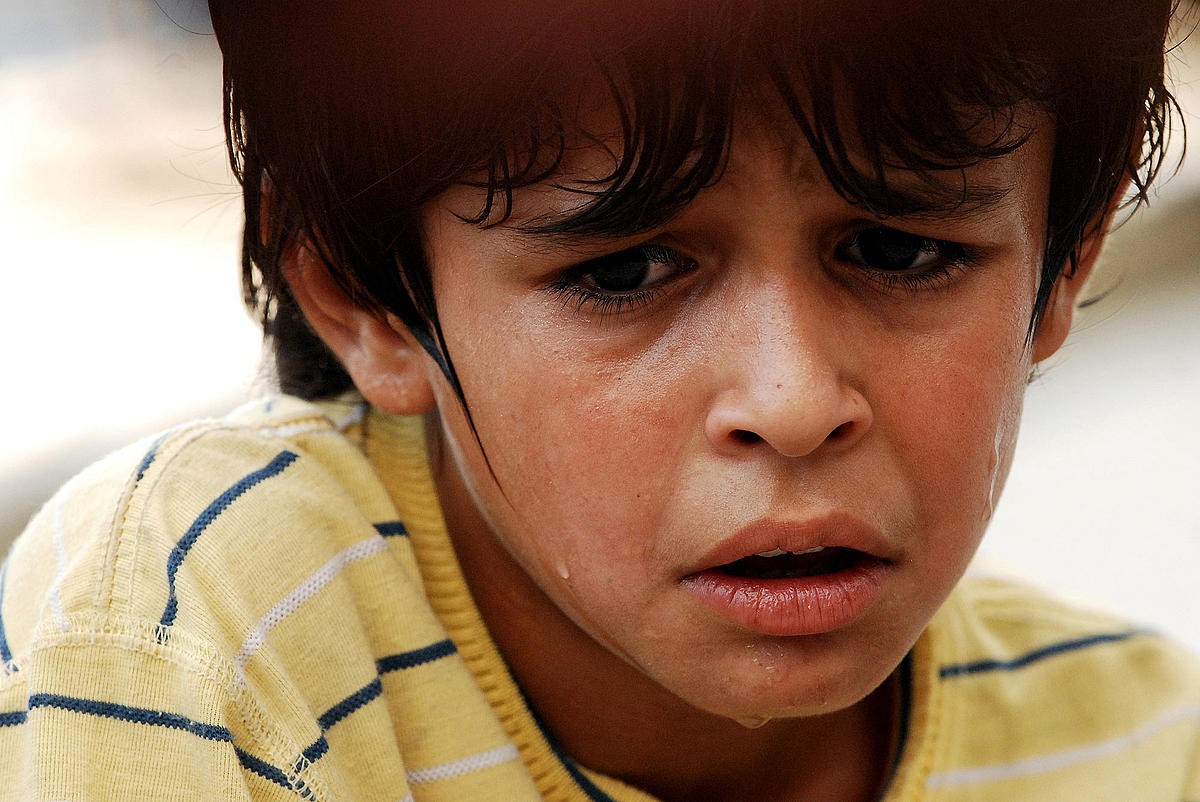 麻雀之歌剧照的剧照