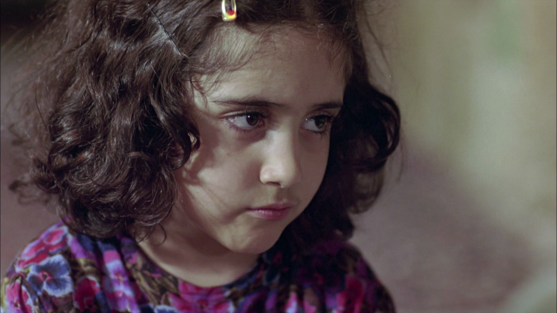 麻雀之歌剧照的剧照