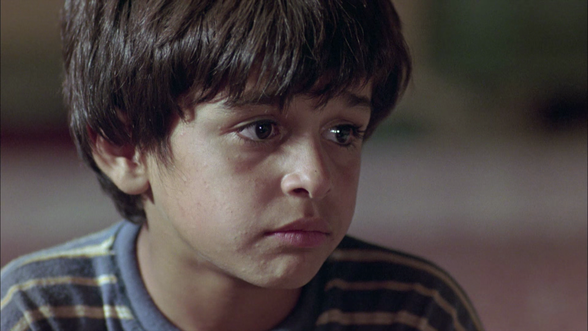 麻雀之歌剧照的剧照