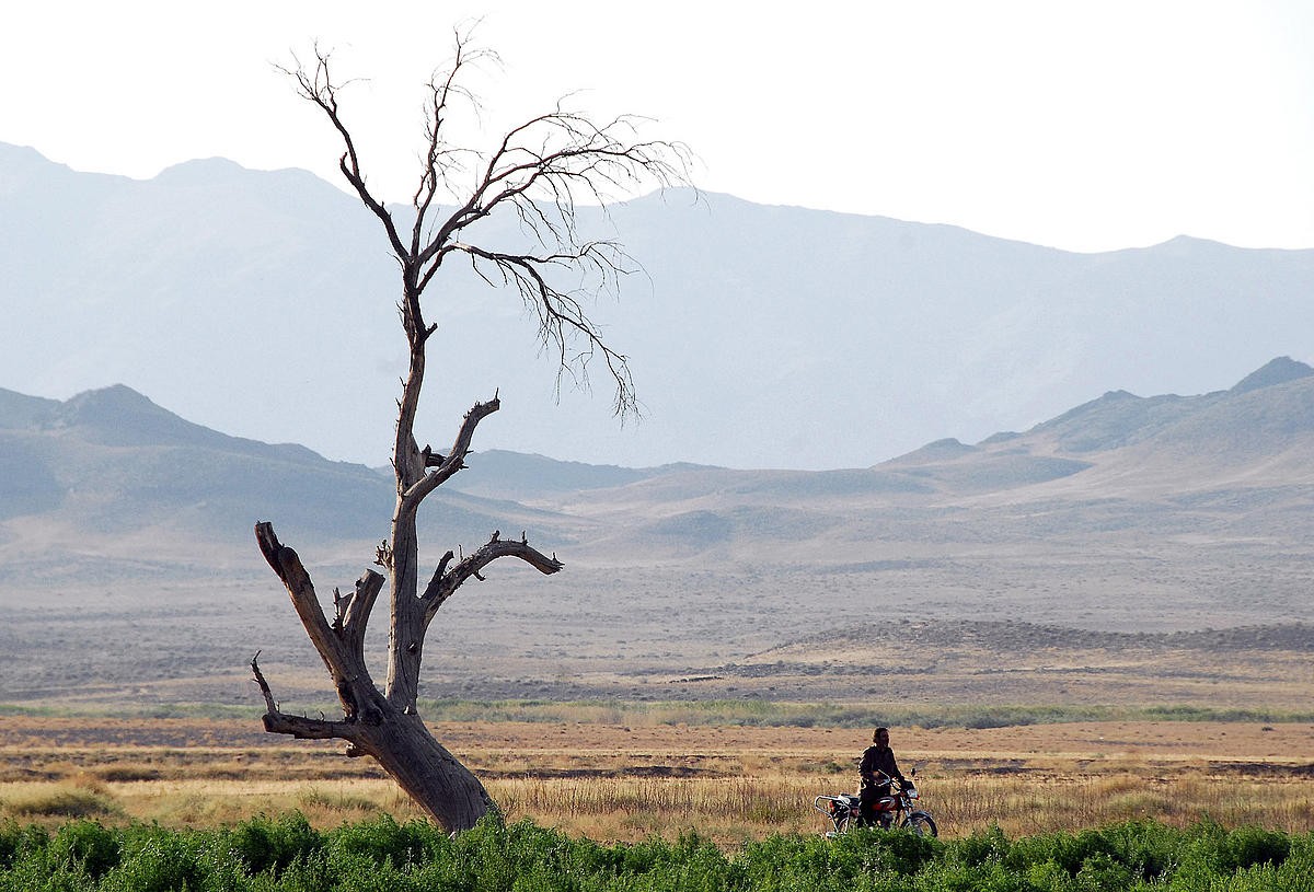 麻雀之歌剧照的剧照
