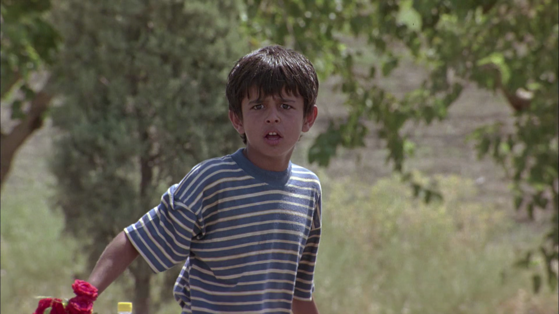 麻雀之歌剧照的剧照