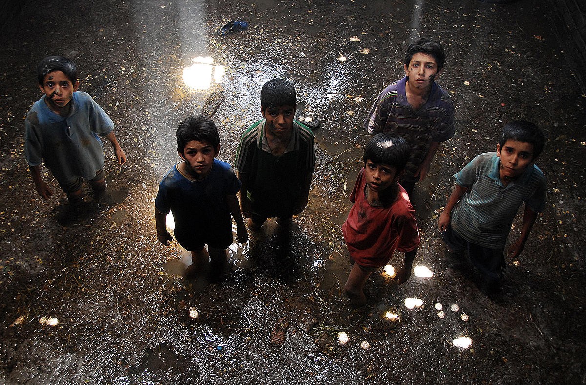 麻雀之歌剧照的剧照