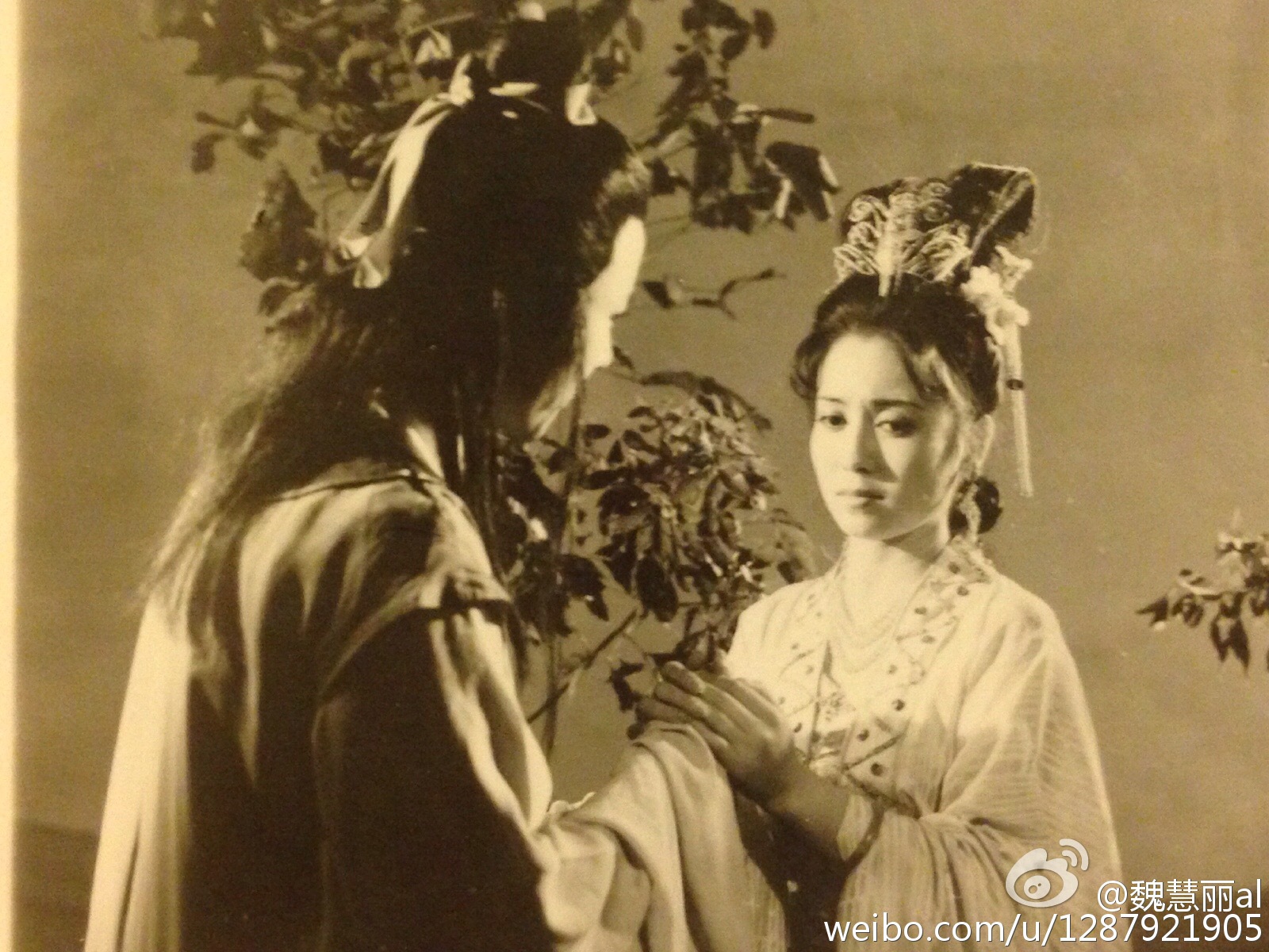 精变剧照的剧照