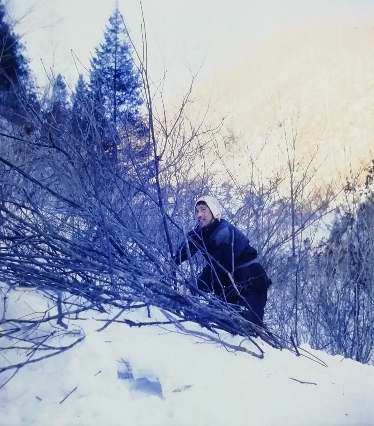 笨人王老大剧照的剧照