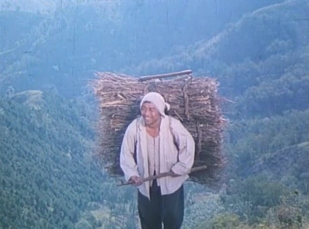 笨人王老大剧照的剧照