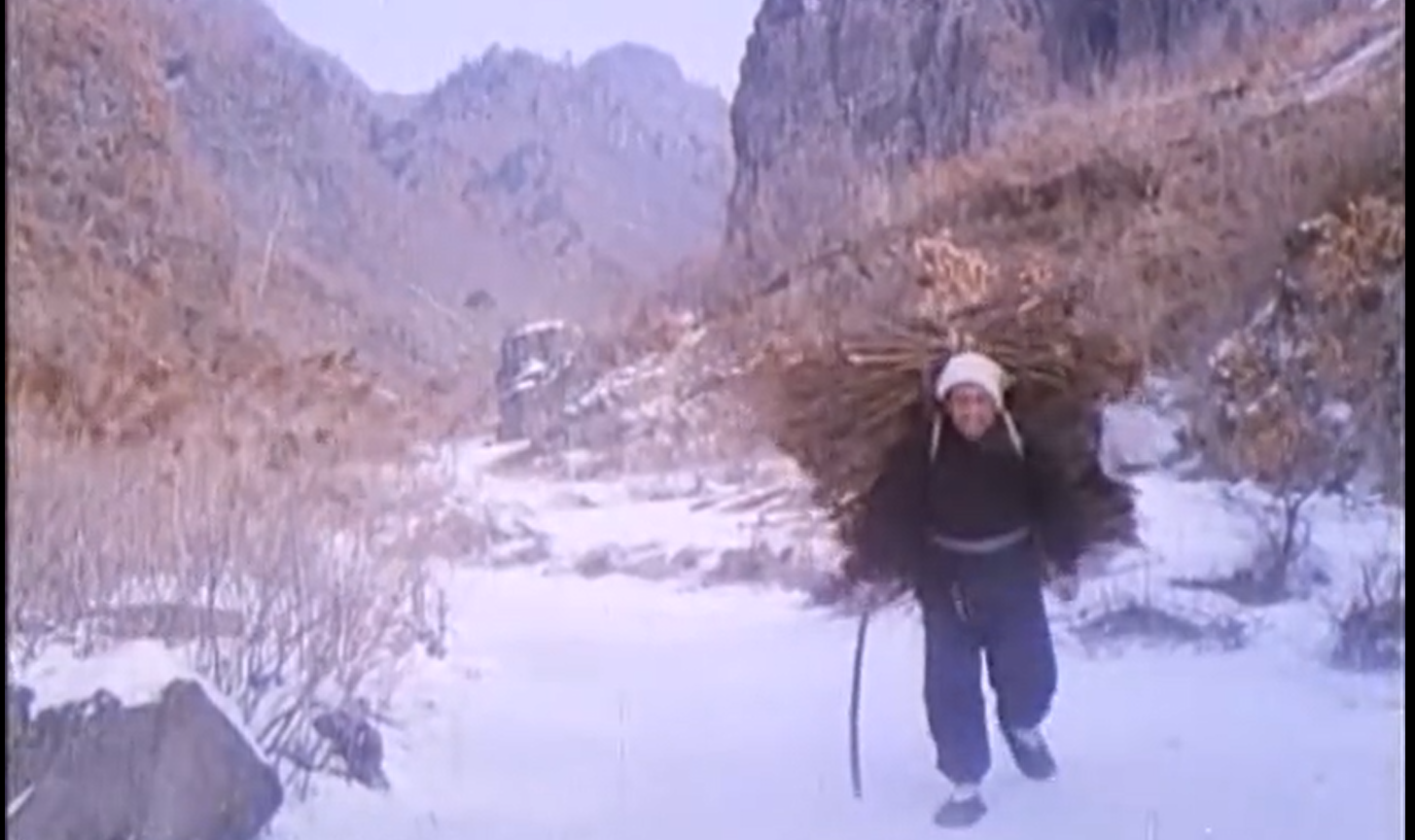 笨人王老大剧照的剧照