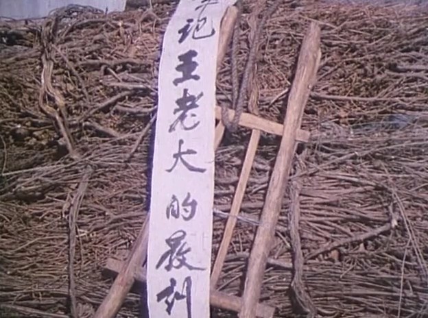 笨人王老大剧照的剧照