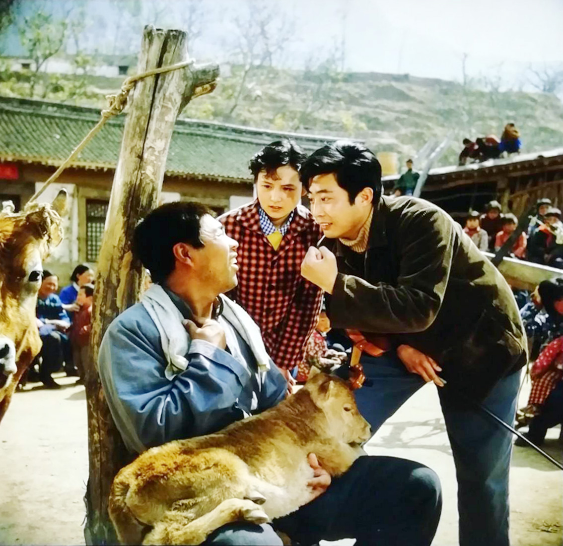 笨人王老大剧照的剧照