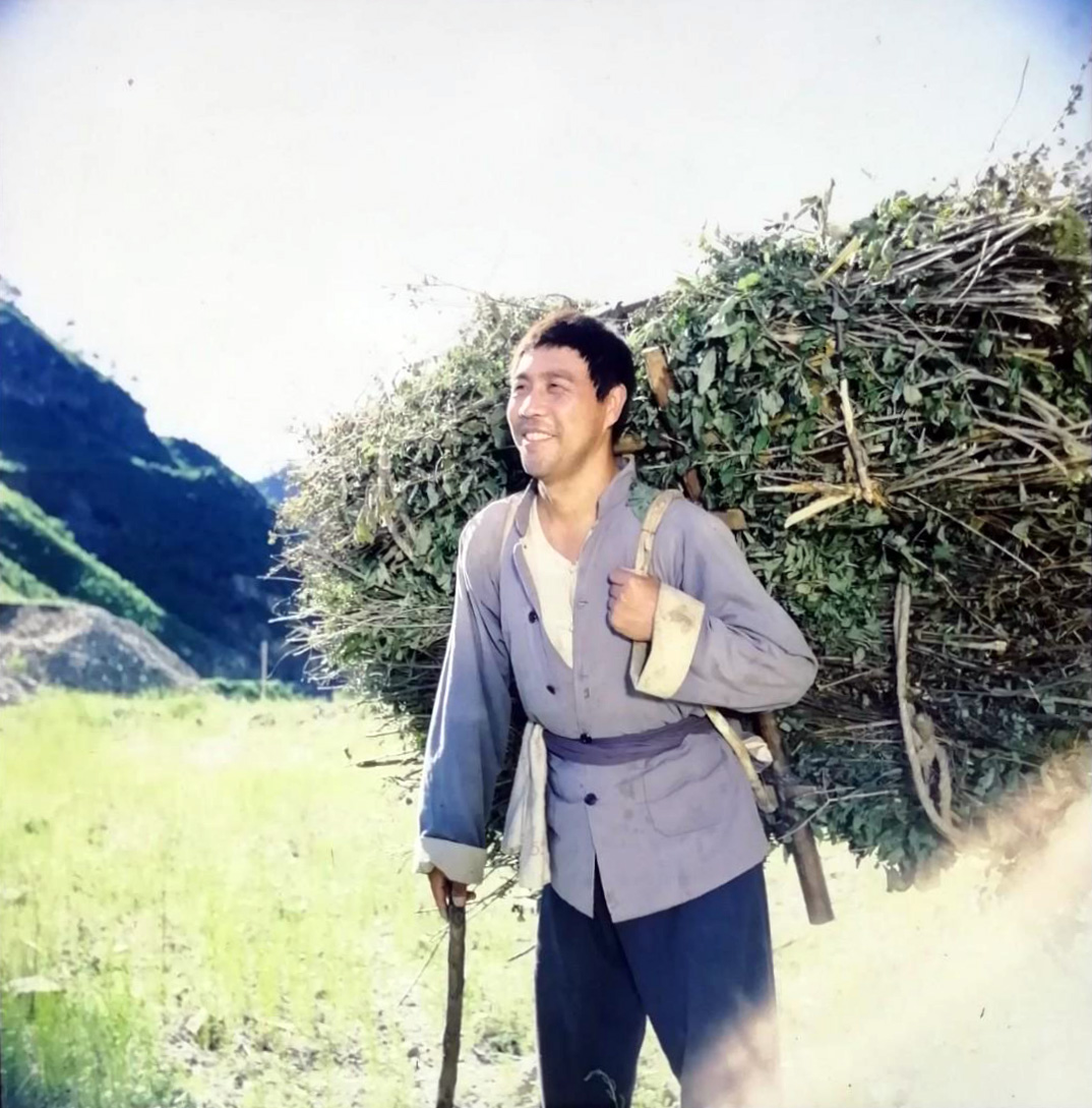 笨人王老大剧照的剧照