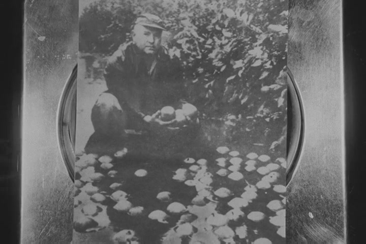 一次频词1：怀旧剧照的剧照